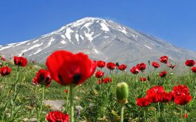 دماوند را بهتر بشناسیم